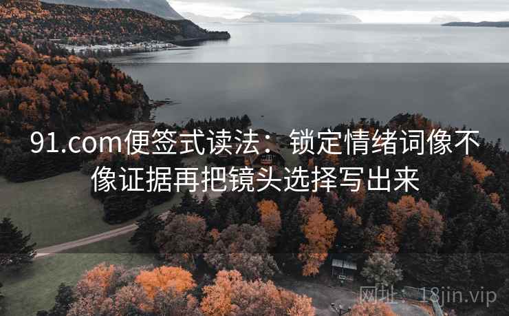 91.com便签式读法：锁定情绪词像不像证据再把镜头选择写出来